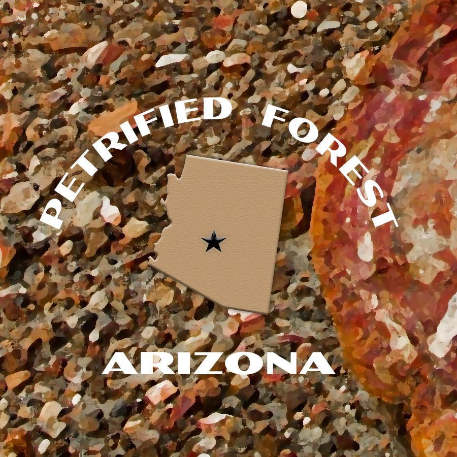 Petrified Forest National Park Poster-Jasper Forest