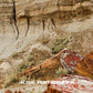 Petrified Forest National Park Poster-Petrified Forest