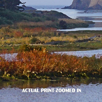 Olympic National Park Poster-Quillayute River