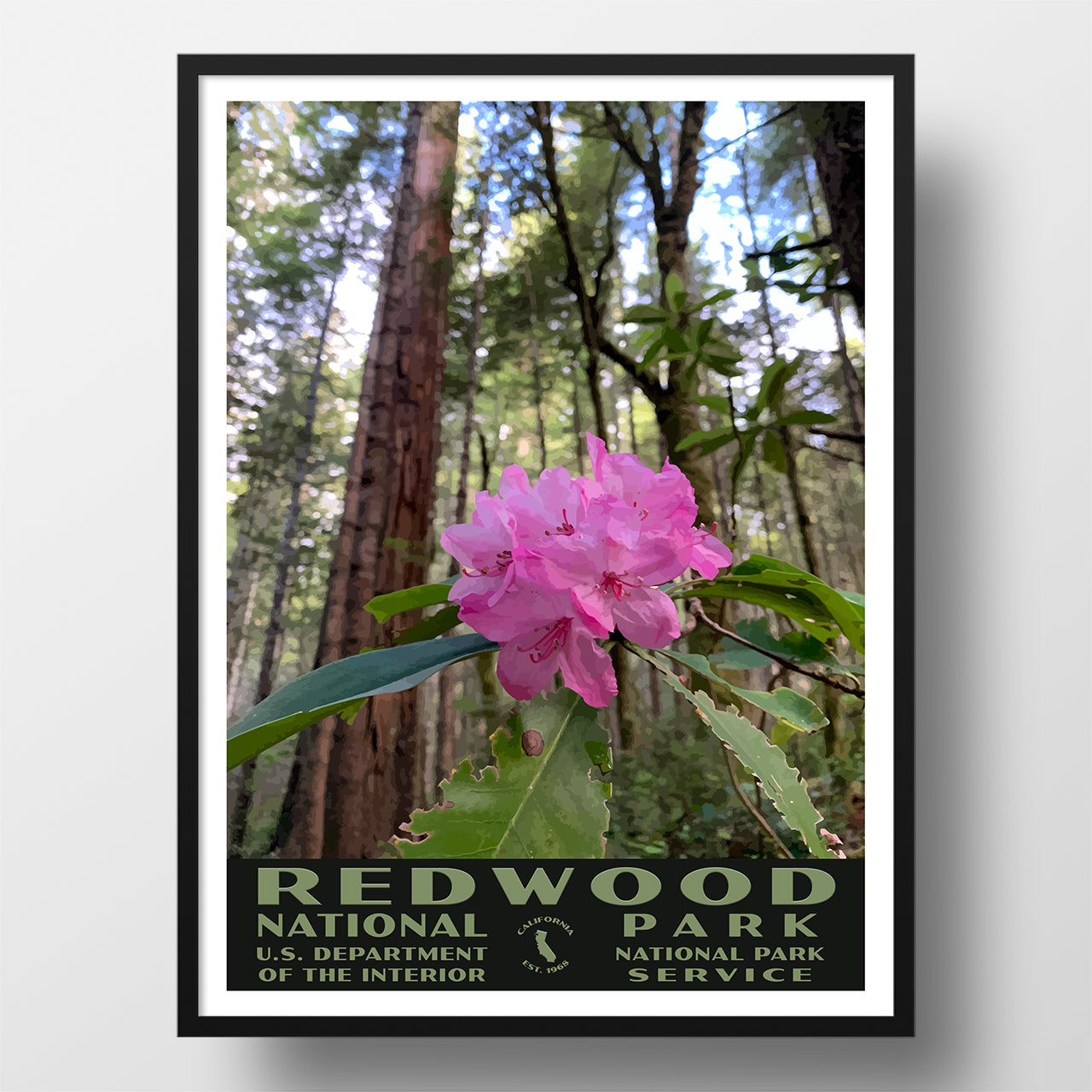 Redwood National Park WPA Poster
