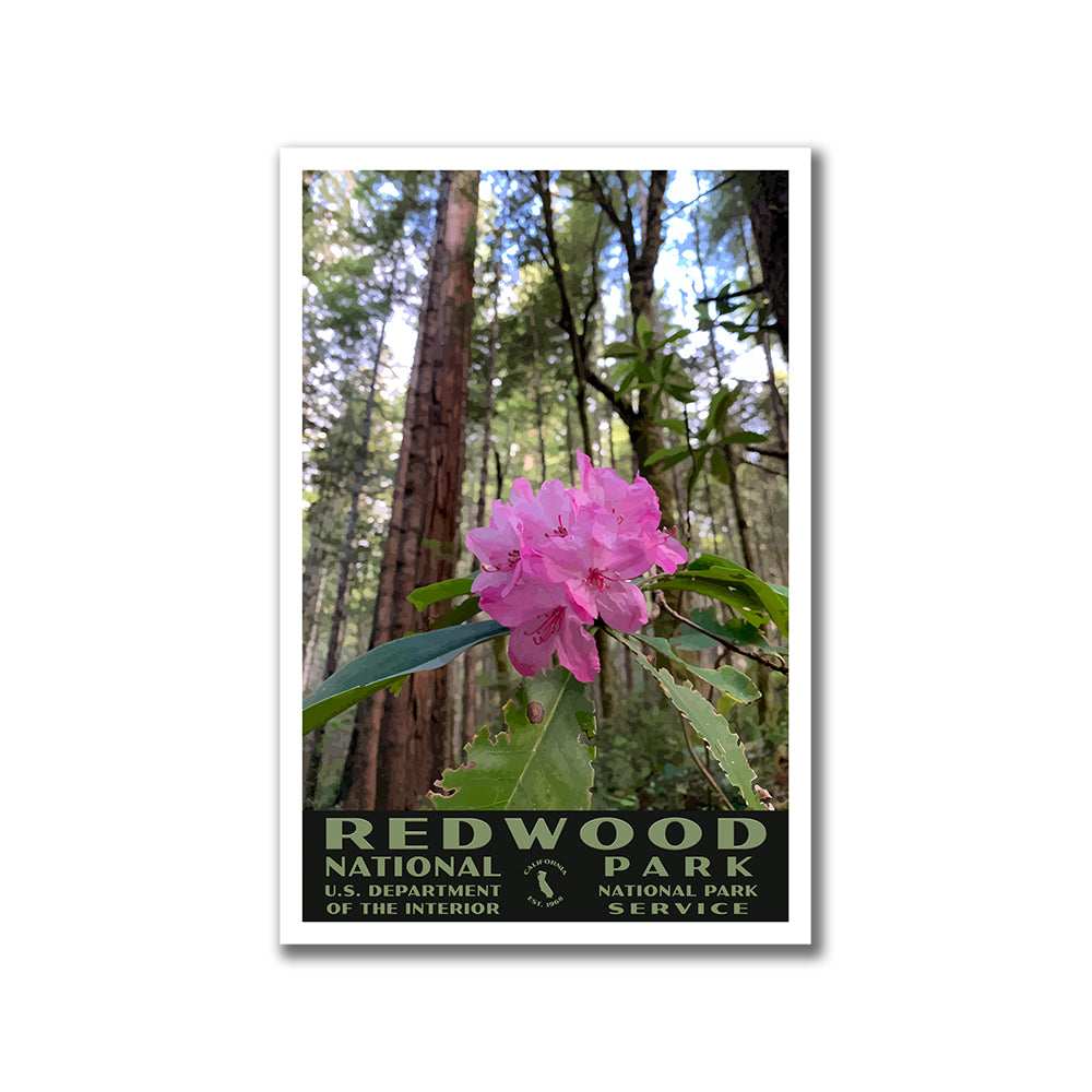 Redwood National Park WPA Poster