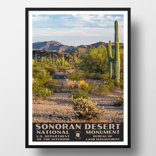 Sonoran Desert National Monument Poster-WPA (Viewpoint)