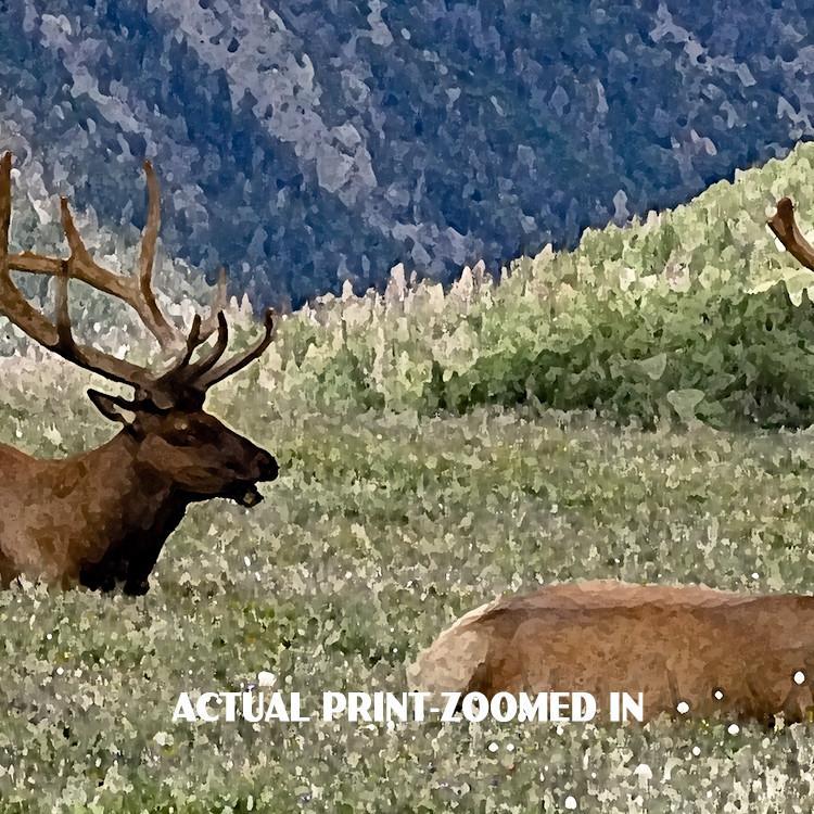 Rocky Mountain National Park Poster-Trail Ridge Road (Personalized)