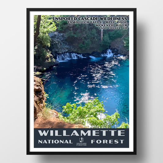 Willamette National Forest Poster - WPA (Tamolitch Falls) - OPF